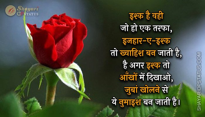 Read more about the article Shayari on Love in Hindi – Izhaar-E-Ishq